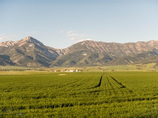 Spring Family Farm