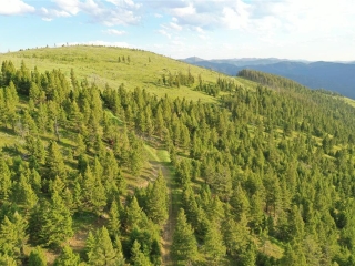 Map of 1-3,16 Garnet Range Tract: 636 acres NW of Drummond