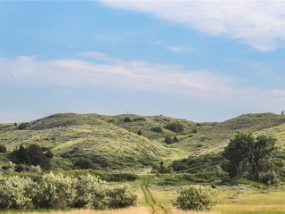 Map of Old Highway 10: 252 acres West of Forsyth