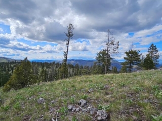 Map of 328.68 +/- Acres Bull Elk: 329 acres West of Drummond