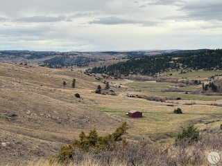 Map of Brumfield Road: 487 acres SE of Reed Point
