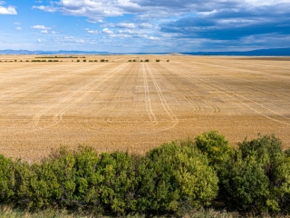 Map of Heritage Prairie Farm: 481 acres West of Hobson