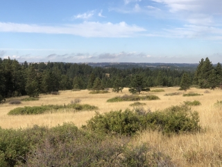 The Big Buck Trail Ranch