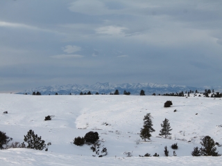 Stritch Ranch