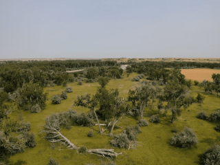 Yellowstone Pivot Farm