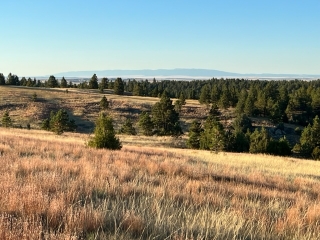 Rocking LB Ranch