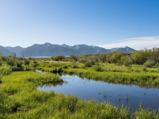 Madison Spring Creek Ranch