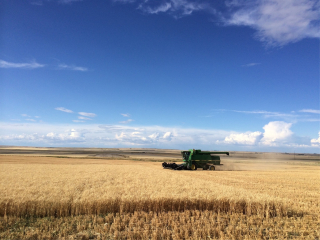 Map of Highway 379: 787 acres East of Duton