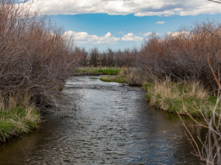 North Fork Of The Smith River 80