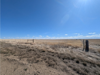Map of Parcel 6 South Black Coulee Road: 320 acres SE of Malta