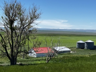 480 Acres Molt Rapelje Road