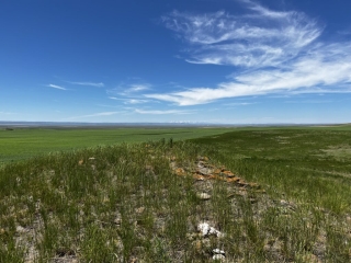 640 Acres Molt Rapelje Road