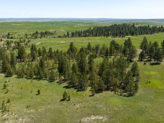 Pine Tracks Ranch