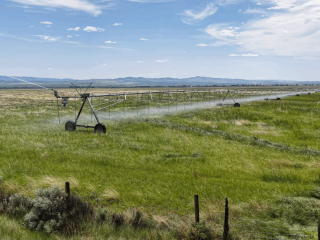 Map of Toston Pivots: 480 acres NW of Toston
