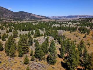 Map of Middle Fork Ranch Lots 2 & 3: 259 acres SW of Philipsburg