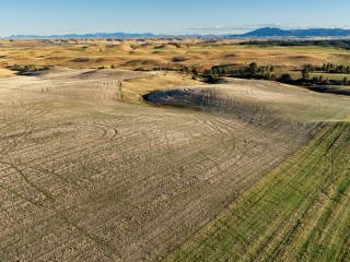 Salt Creek Ranch