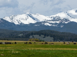 Skinner Meadows Ranch