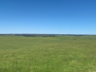 Sarpy Creek Grass Ranch
