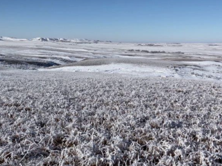 Wick Coulee Pasture