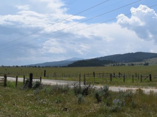 Buxton Road