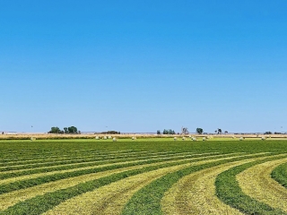 Teton County Montana Irrigated Farm