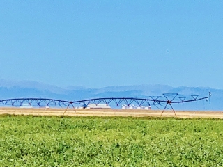 Teton County Montana Irrigated Farm