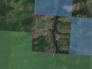 East Fork Swamp Creek Tract 1