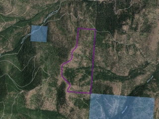 West Fork Combest Creek Tract 1