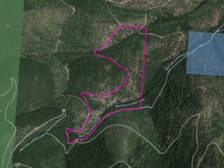 West Fork Combest Creek Tract 3