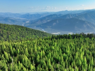 Map of Shryock Gulch Tract: 1002 acres East of Superior