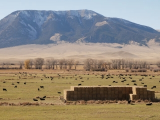 Map of Wolfe Hereford Red Rock River Ranch: 840 acres South of Dillon