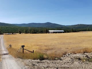 15337 Wolf Creek Road