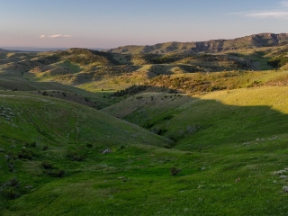 Susie Creek Homestead