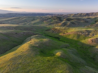 Susie Creek Homestead