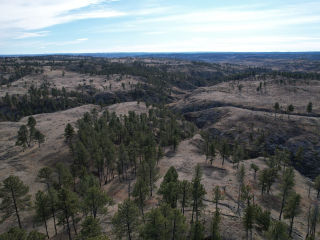 Map of The Breaks Hunting Camp East Unit: 640 acres NE of Winnett