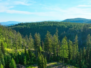 Map of Two Creeks Tract: 252 acres West of Kalispell