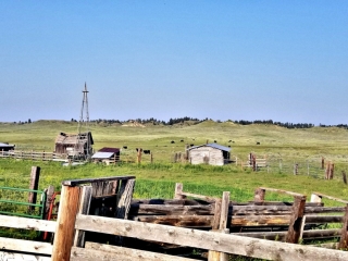 Wyant Coulee Homestead