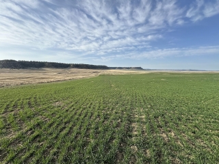 Map of Pine Butte Ranch: 1544 acres SE of Ryegate