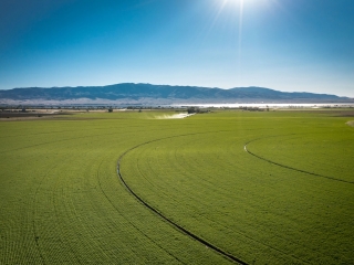 Double C Ranch