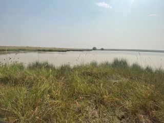 Wilke Ranch - South