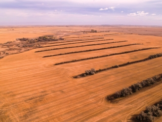 Map of Prairie Pheasant Farm: 508 acres East of Froid