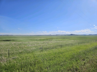 Cox Hunting Farm