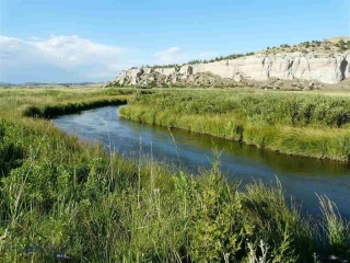 Madison Road - 398 Acres