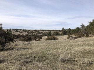 Wilder Trail