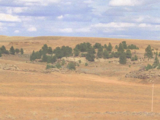 Horpestad Pasture