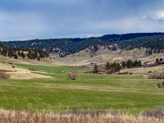 Thompson Creek Ranch