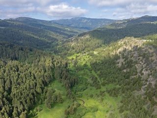 Map of Bangtail Creek Ranch: 1522 acres NW of Livingston