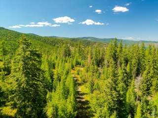 Map of Ashley Lake Road: 640 acres SW of Kalispel