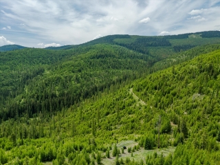 Map of Fish Creek Road: 640 acres NW of Kalispell