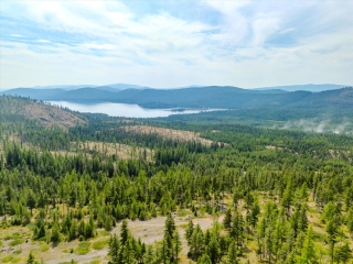 Map of Griffin Creek Road - 867 Acres: 867 acres NW of Marion